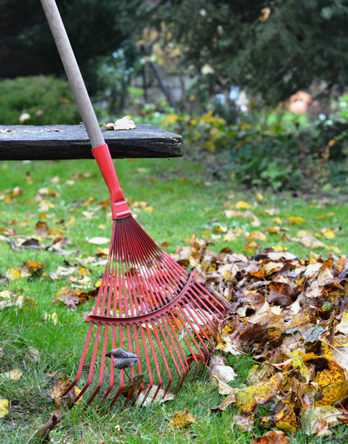 Au Cœur des Jardins, entretien du jardin, Services à la Personne