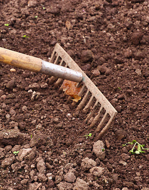 Au Cœur des Jardins, désherbage, Services à la Personne