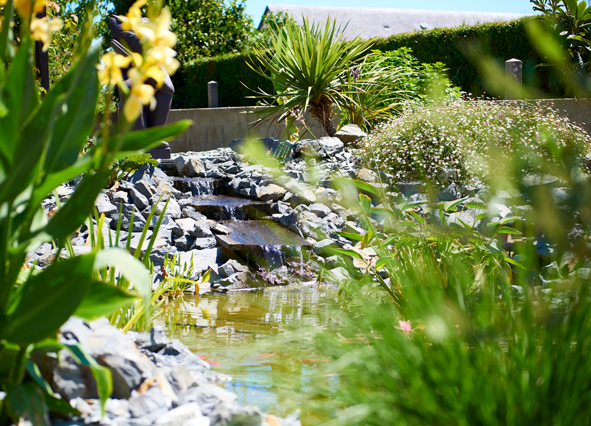 Au Cœur des Jardins : aménagement aquatique