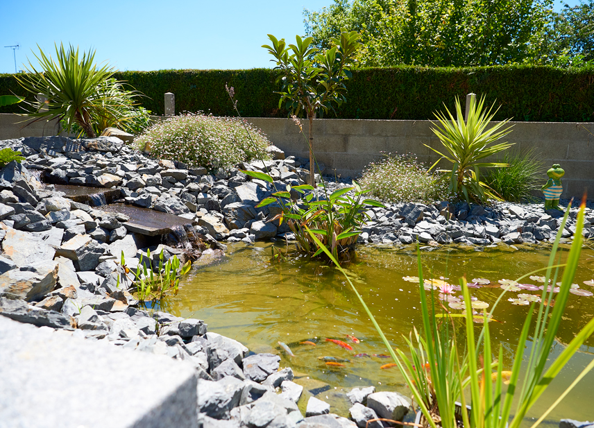 Au Cœur des Jardins : bassin aquatique