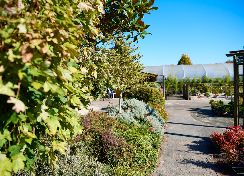 Au Cœur des Jardins, pépinière à Villaines-la-Juhel